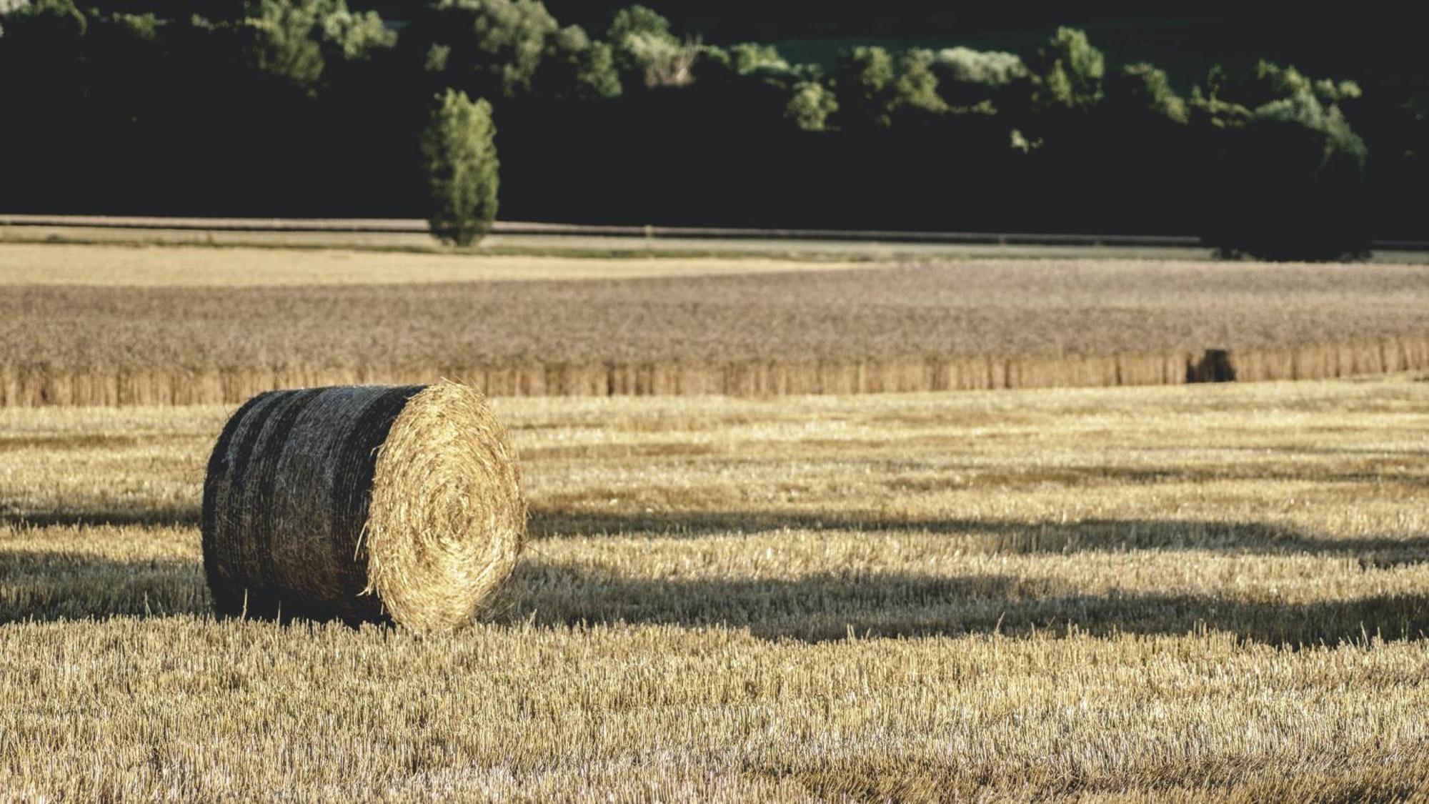 Gite De Charme A La Ferme - Duplex Landrévarzec Zewnętrze zdjęcie